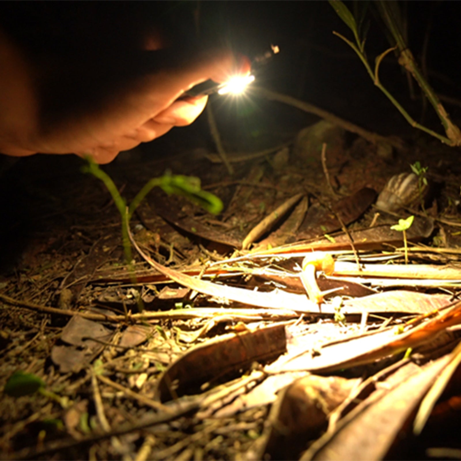 RovyVon Angel Eyes E90 Flat EDC Flashlight